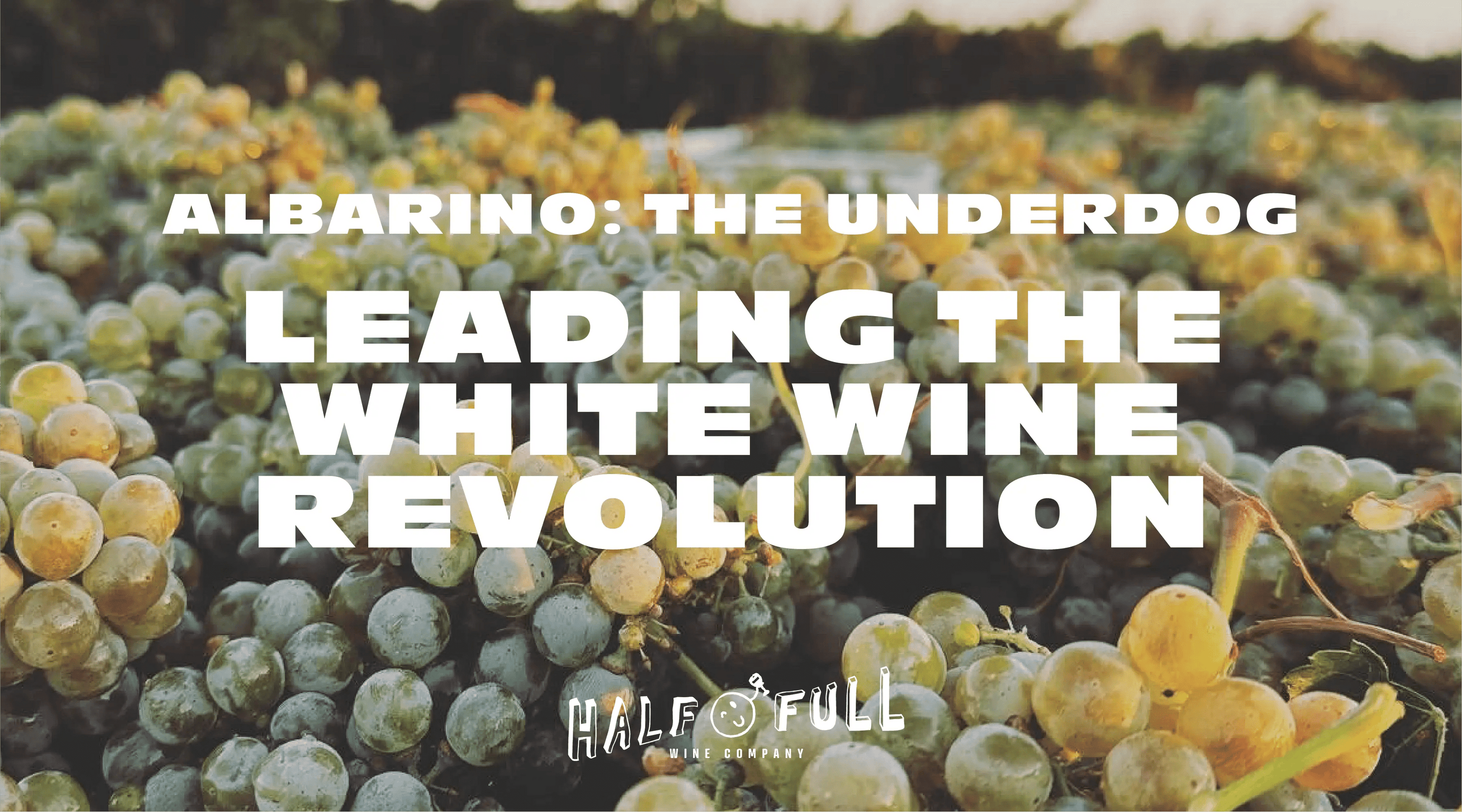 Albariño: The Underdog Leading a White Wine Revolution - Half Full Wine Co.